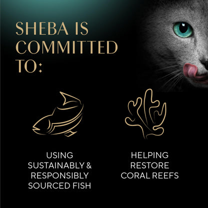 Sheba Perfect Portions Wet Cat Food Pate Tender Beef Entree, 2.6 oz. Twin-Pack Trays (24 Count, 48 Servings)
