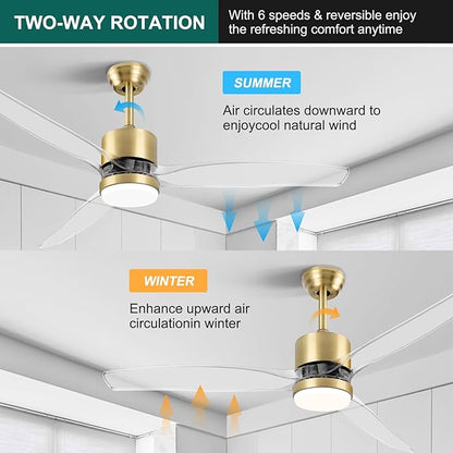 OKELI Clear Ceiling Fan with Light, 52 Inch Gold Transparent Ceiling Fans with Light and Remote 3 Reversible Blade LED Ceiling Fan and Light Combo for Living Room, Bedroom, Patio
