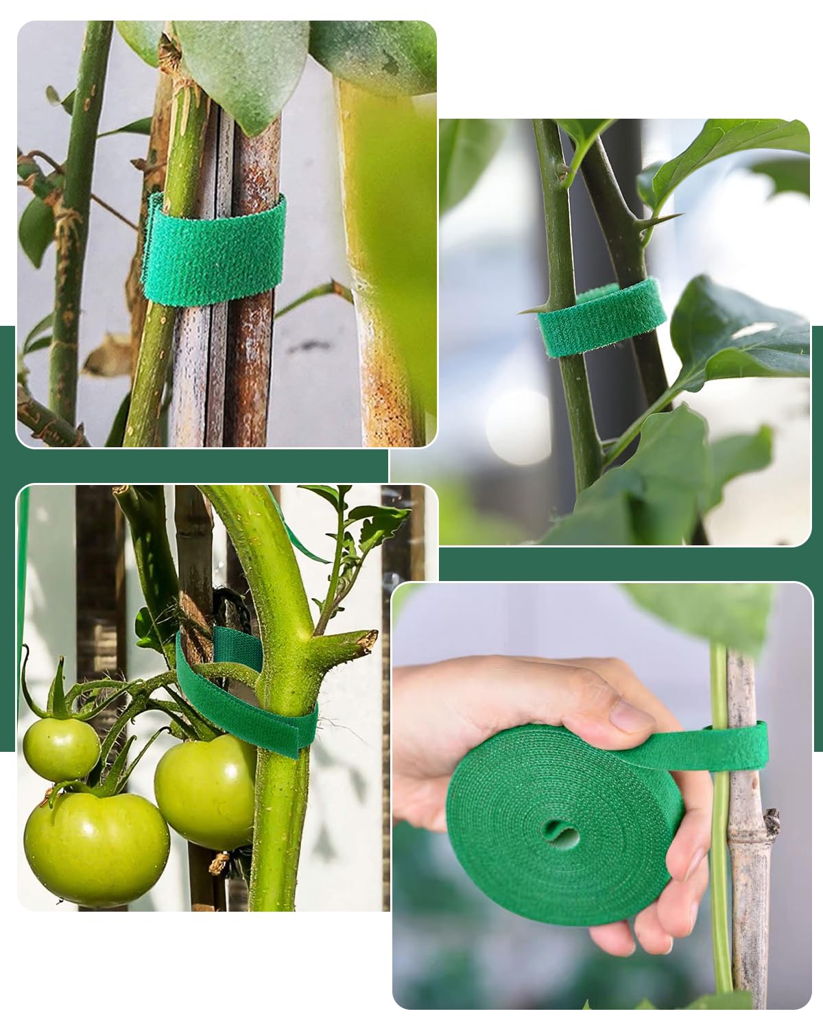 sousac Plant Ties Garden Tape, Reusable Adjustable Plant Clips for Climbing Plants, Green Nylon Self Adhesive Plant Twist Tie Strap to Support Gardening Plants (98.4 FT)