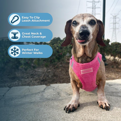 Voyager Step-in Plush Dog Harness – Soft Plush, Step in Vest Harness and Reflective Dog 5 ft Leash Combo with Neoprene Handle for Small and Medium Dogs by Best Pet Supplies -Set (Fuchsia Corduroy), S