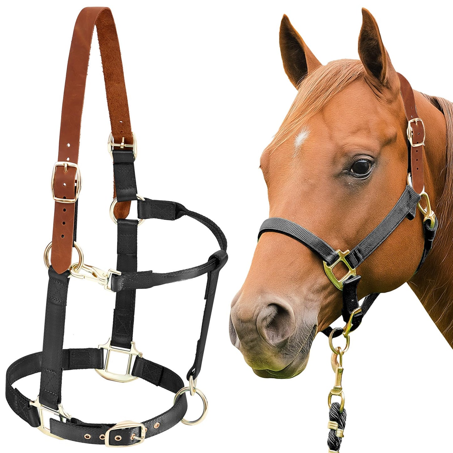Yeyeplum Leather Halter for Horses, Equine Breakaway Nylon Rope Horse Halter with Snap & Adjustable Chin and Throat Snap Hook Halters for Training, Show and Daily Use, Average Size(Black Brown)
