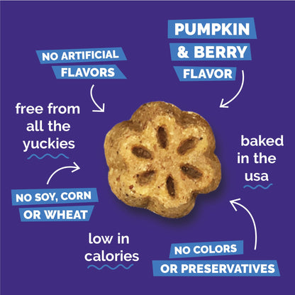 Fruitables Skinny Mini Dog Treats, Healthy Pumpkin Treat for Dogs, Low Calorie & Delicious, Puppy Training, No Wheat, Corn or Soy, Made in the USA, Pumpkin and Berry Flavor, 5oz