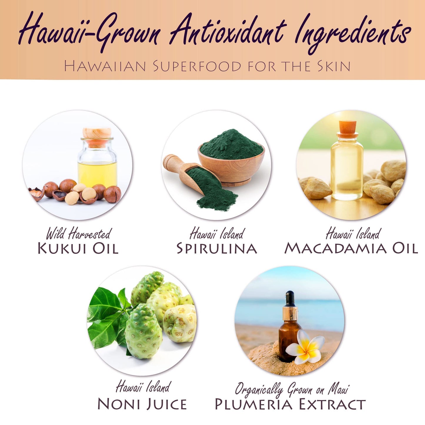 Kokua Sun Care SPF 50/80 Lotion Hawaiian Reef Safe Non Nano Zinc Oxide Sunscreen for Face & Body, Moisturizing Sun Protection Cream, Mineral Water Resistance, Cruelty Free, Natural Vegan Formula
