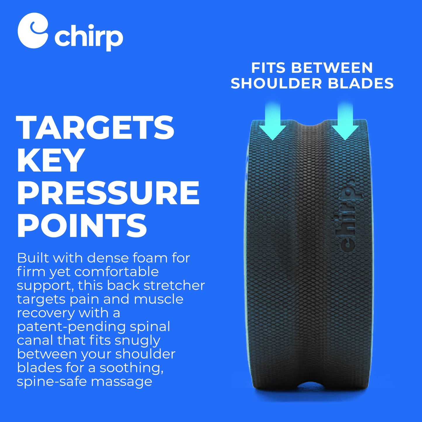 Chirp Wheel Foam Roller – Targeted Back & Neck Relief, Lumbar Spine Stretcher, Spinal Decompression Back Stretcher, Massage Roller with Density Foam for Physical Therapy, Supports 500lbs, 2-Inch Mint