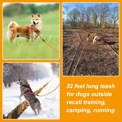 Vivifying Floating Long Dog Leash, 32FT Long Leash for Dog Training, Lightweight Check Cord for Outdoor, Hiking, Swimming, Beach and Lake