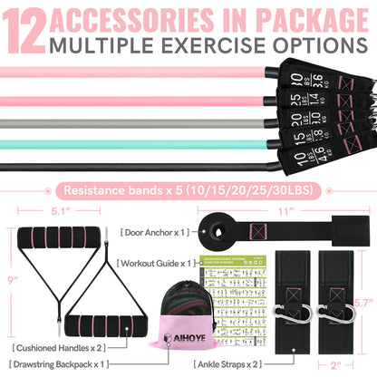 Aihoye Resistance Bands for Working Out, Exercise Bands with Handles, Stretch Bands for Exercise, Workout Bands with Door Anchors for Physical Therapy & Strength Training