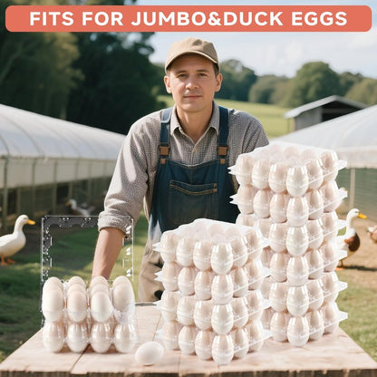 YIFIHGE 60 Pack Egg Cartons Cheap Bulk 1 Dozen Jumbo Egg Cartons Extra Large Duck Egg Holders with Sticker Labels Clear Empty Plastic Egg Containers for Home Ranch Farm Commercial Market Display
