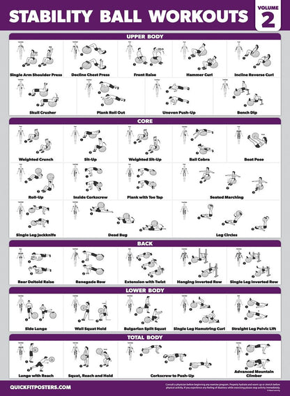 Palace Learning 2 Pack - Yoga Ball Workout Exercises Volume 1 & Volume 2 - Stability Ball Routine - Fitness Charts (18" x 24", Laminated)