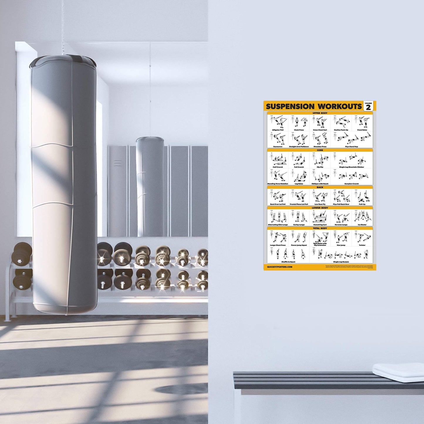Palace Learning 3 Pack - Suspension Workout Posters - Volume 1 & 2 + Dumbbell Exercises Poster Set - Set of 3 Workout Charts (LAMINATED, 18" x 24")