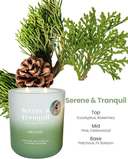 M&SENSE Pine Cedarwood Holiday Candle for Home, 14.1oz 80 Hours Non Toxic Natural Soy Wax Woody Scent Long Lasting Aromatherapy Candles for Winter