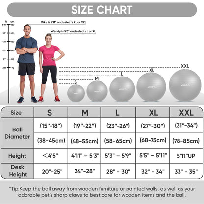 APEXUP Yoga Ball, 660 lbs Anti-Burst Exercise Ball with Pump, 5 Sizes (M (19"~22) 55cm, Silver)
