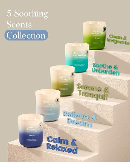 M&SENSE Pine Cedarwood Holiday Candle for Home, 14.1oz 80 Hours Non Toxic Natural Soy Wax Woody Scent Long Lasting Aromatherapy Candles for Winter