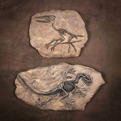 XINDAM Resin Dinosaur Fossil Statue Model Simulated Skeleton Home Office Display Decorative Craft Box Decoration (Style 2)