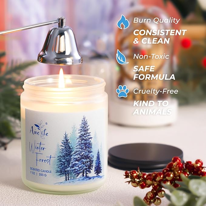 Mulled Cider Candle | Scented Soy Candles for Home - Apple & Spice Winter Candle, Holiday Aromatherapy Candles Gift for Women & Men, Cozy Christmas Home Décor, Long Lasting Clean Burn