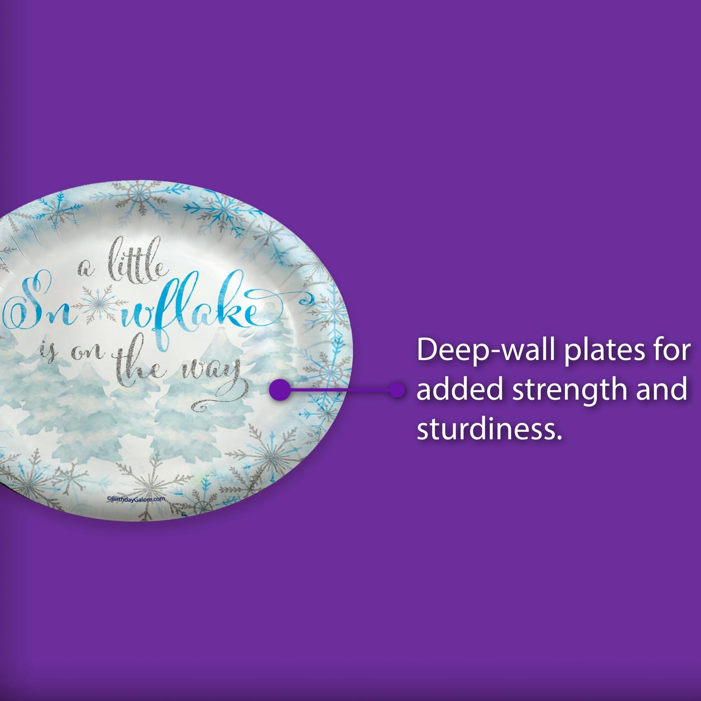 Birthday Galore A Little Snowflake is On The Way Boy's Baby Shower - 32 Piece Disposable Party Supplies - Winter Baby Shower Decorations - Round Party Plates - Large 9" Paper Plates In Bulk
