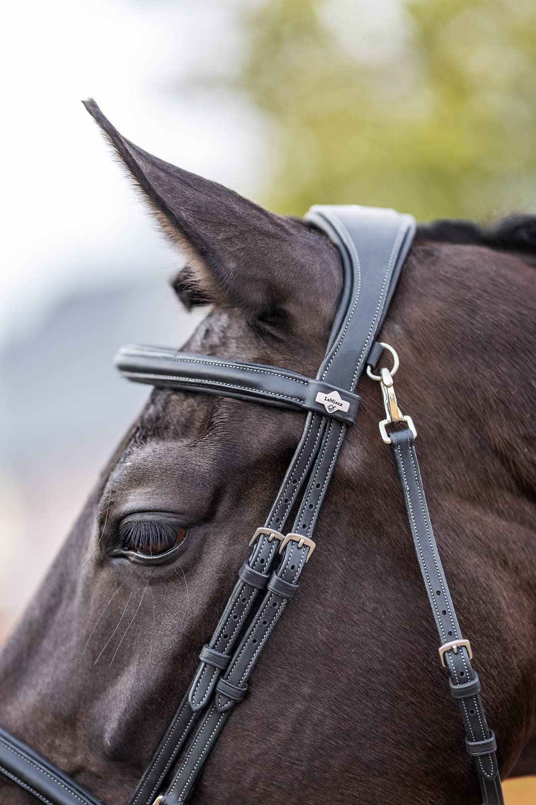 LeMieux Kudos Work Bridle - Black - Full