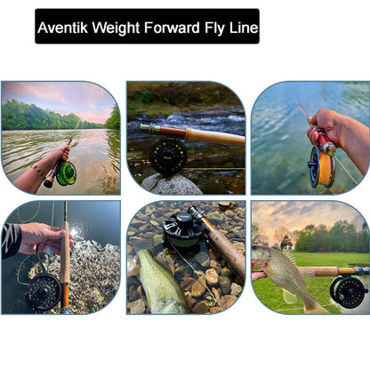 Fly Fishing Floating Line with Welded Loop Weight Forward Fly Lines 100FT (WF6F, Moss Green)
