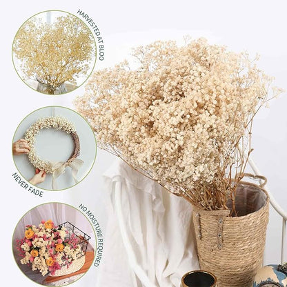 Dried Babys Breath Flowers Bouquet-17 Inch 5000+ Ivory White Dry Flowers, Natural Gypsophila Branches for Wedding, Table Vase Decor, DIY Wreath Floral, Home Office Party Garden Decoration (6OZ)