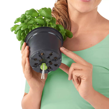 Lechuza Cube Color Triple Self Watering Plant Pot, Slate, 40 cm Diameterx 14 cm Width x 13.5 cm Height
