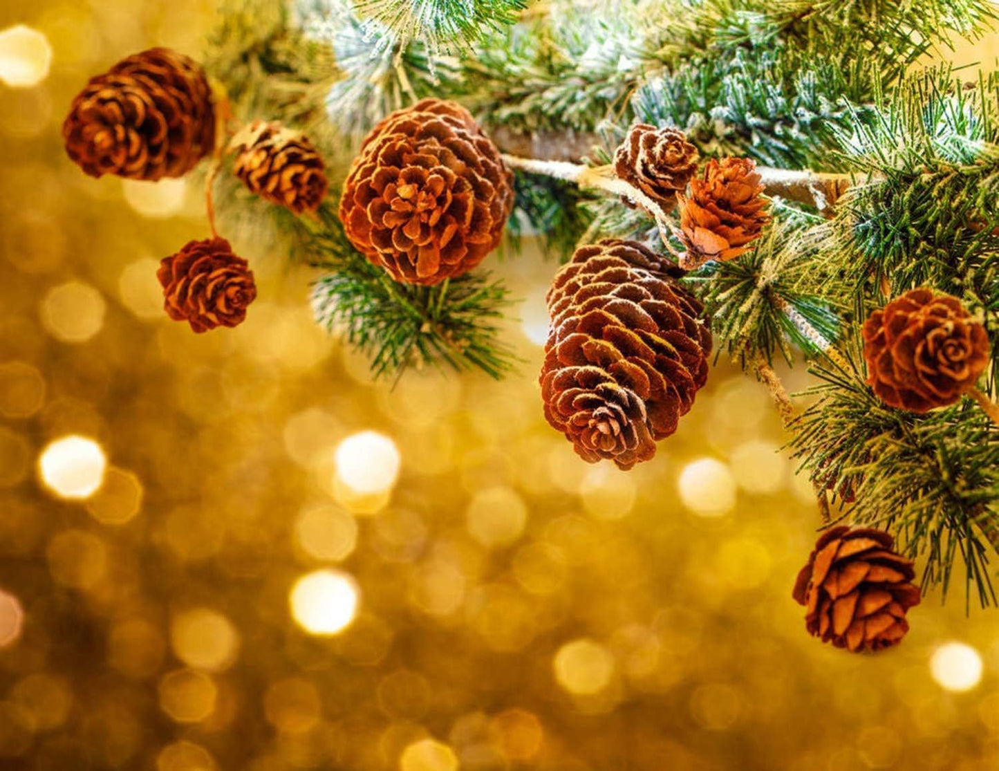 Deloky 150 Pcs Christmas Natural Mini Pine Cones- 2CM Thanksgiving Small Pinecones Ornaments Vase Fillers for DIY Crafts, Home Decorations, Fall and Christmas, Wedding Decor