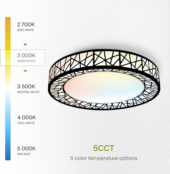 ASD 14 Inch LED Flush Mount Ceiling Light Fixture for Bedroom, 24W 1534LM 5CCT 2700K-5000K, Triac Dimmable Lights, Dining, Living Room, Kitchen Lamps, Modern Home Lighting Fixtures, Black, ETL
