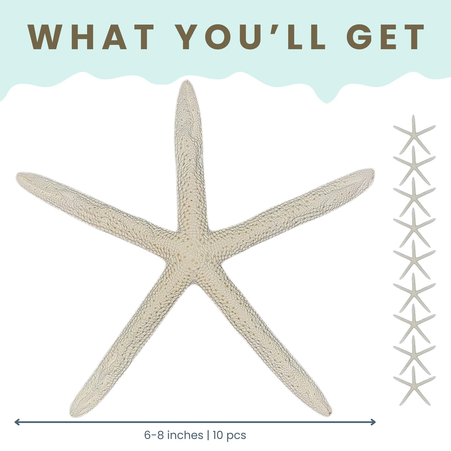 Starfish Decor - Star Fish for Craft - 10pk Uniquely Shaped 6-8" White Real Sea Stars - Beach Wedding Decor - Coastal Party Decorations