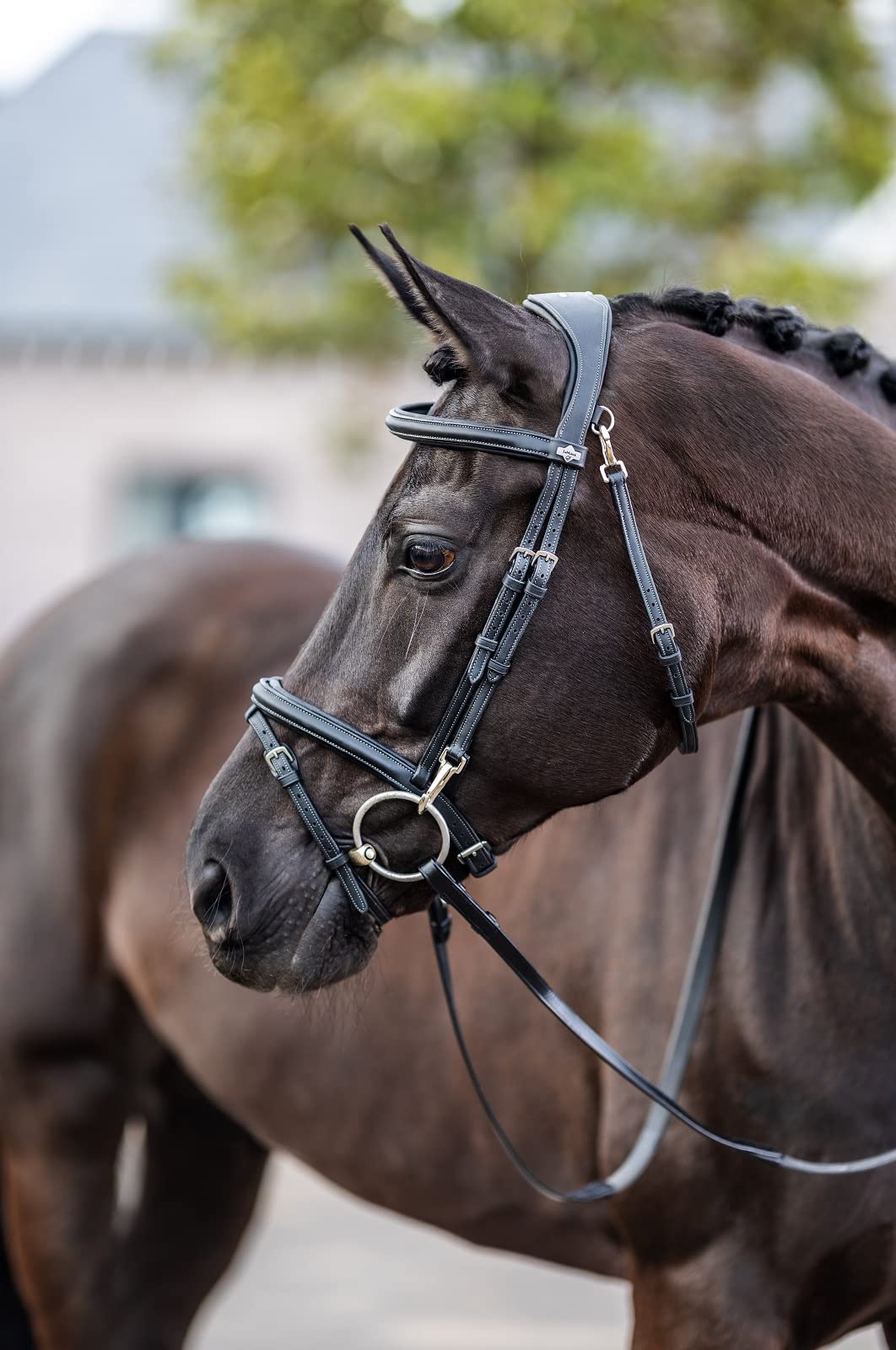 LeMieux Kudos Work Bridle - Black - Full