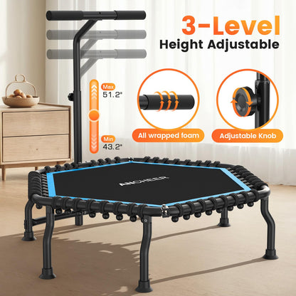 ANCHEER 50" Rebounder Trampoline for Adults- 2026 Foldable Mini Trampoline with Bar- Exercise Trampoline for Adults, Max Load 560lbs, for Indoor/Garden Workout