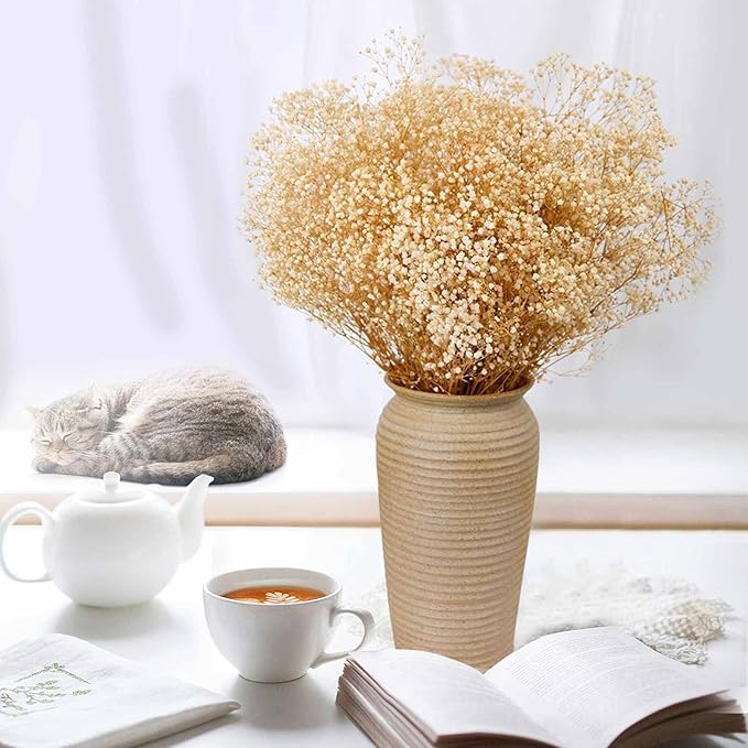 Dried Babys Breath Flowers Bouquet-17 Inch 2500+ Ivory White Dry Flowers, Natural Gypsophila Branches for Wedding, Table Vase Decor, DIY Wreath Floral, Home Office Party Garden Decoration (3oz)