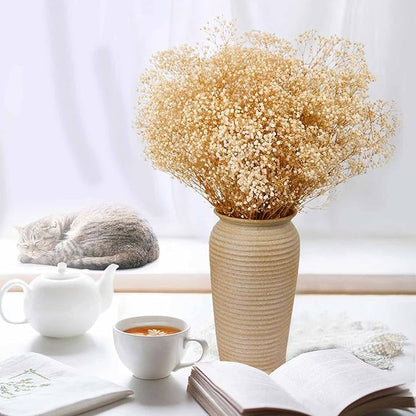 Dried Babys Breath Flowers Bouquet-17 Inch 2500+ Ivory White Dry Flowers, Natural Gypsophila Branches for Wedding, Table Vase Decor, DIY Wreath Floral, Home Office Party Garden Decoration (3oz)
