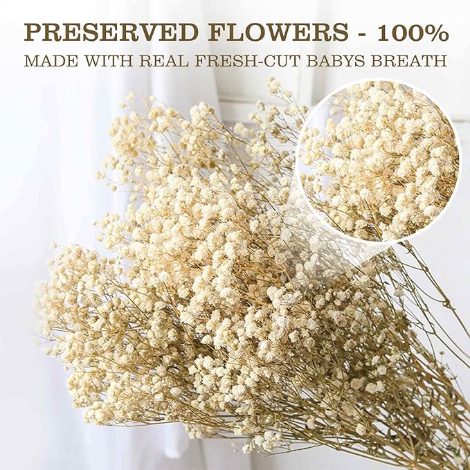 Dried Babys Breath Flowers Bouquet-17 Inch 5000+ Ivory White Dry Flowers, Natural Gypsophila Branches for Wedding, Table Vase Decor, DIY Wreath Floral, Home Office Party Garden Decoration (6OZ)