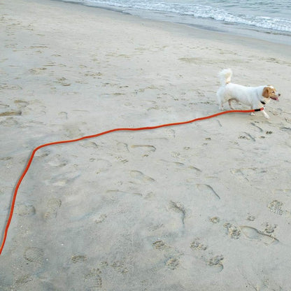 Vivifying Floating Long Dog Leash, 32FT Long Leash for Dog Training, Lightweight Check Cord for Outdoor, Hiking, Swimming, Beach and Lake