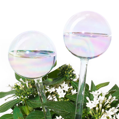 [2 PCS] Light Iridescent Rainbow Gradient Color Clear Glass Self-Watering System Spikes, Automatic Plant Waterer Bulbs
