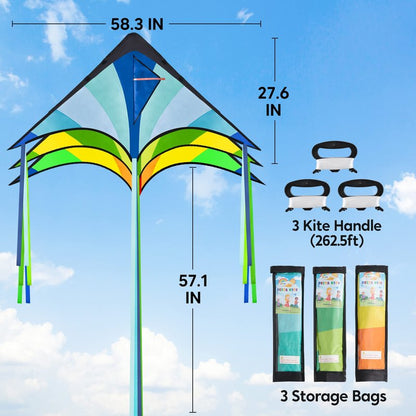 JOYIN 3 Packs Large Delta Kite Green, Blue and Rainbow, Easy to Fly for Kids with 262.5 ft String, Large Delta Beach Kite for Outdoor Games and Activities