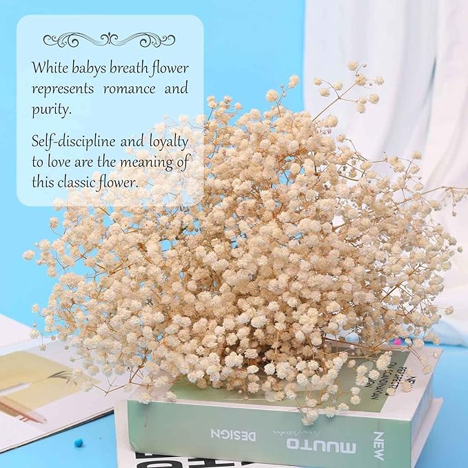 Dried Babys Breath Flowers Bouquet-17 Inch 2500+ Ivory White Dry Flowers, Natural Gypsophila Branches for Wedding, Table Vase Decor, DIY Wreath Floral, Home Office Party Garden Decoration (3oz)