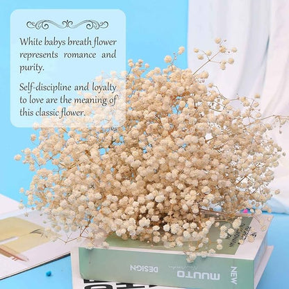 Babys Breath Dried Flowers Bouquet-17'' 2000+ Dry Flowers, Natural Gypsophila Branches for Wedding, Home Table Vase Decor, DIY Wreath Floral, Fall Thanksgiving Autumn Decoration (Ivory White, 2oz)