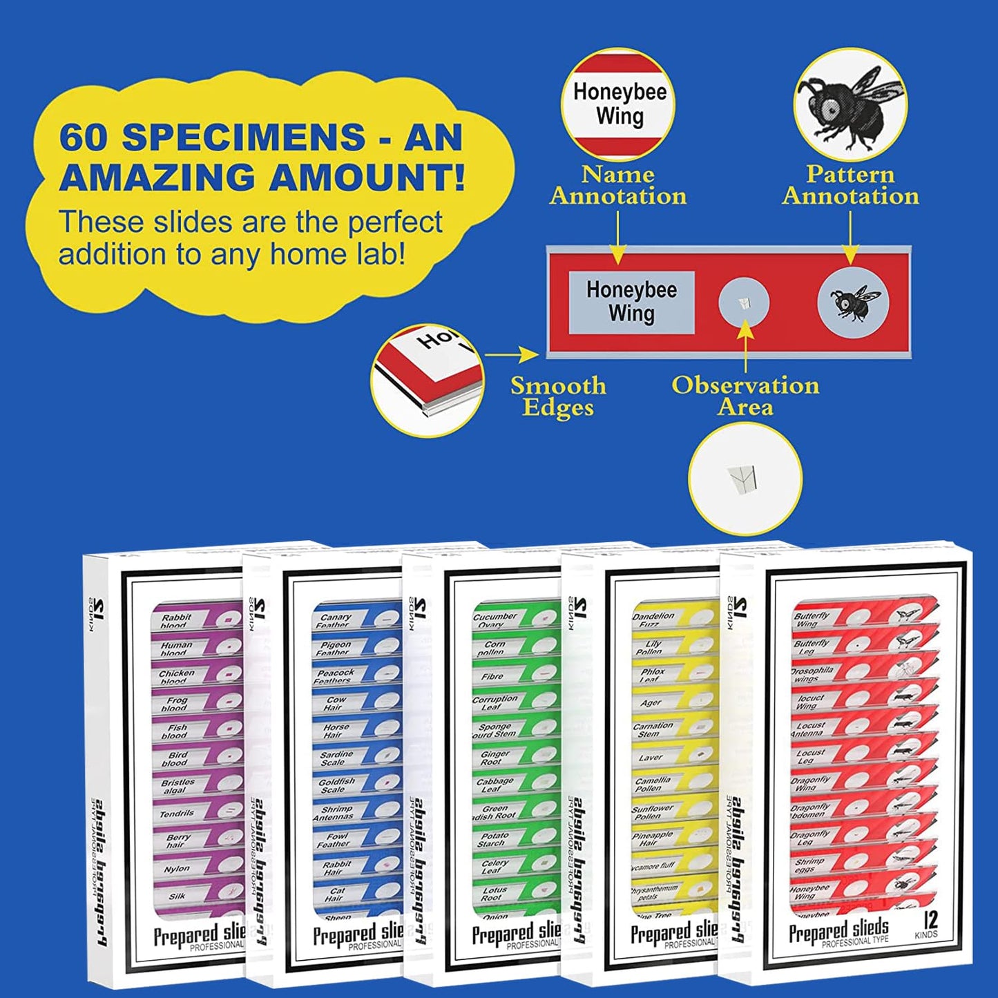 Jiusion 60Pcs Prepared Microscope Slides Specimen Animals Insects Plants Flowers Sample Biological Specimen, Stereo Microscope Slide for Kids Children Students Enlighten Education