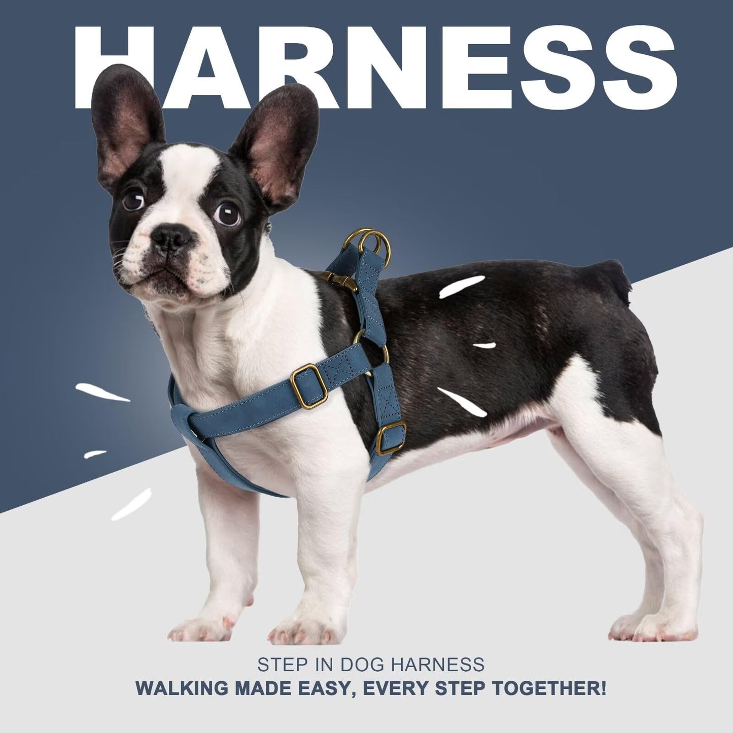 Didog Step in Dog Harness - PU Leather Dog Harness with Antique Bronze Metal Buckle, Easy Walk Dog Halter Harness for Medium Dogs Walking Training (Blue, S: Chest 16-22")