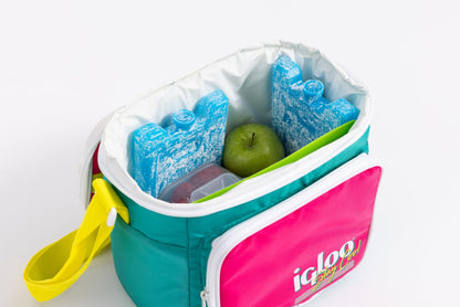 Igloo Maxcold Ice Block,4 Pieces