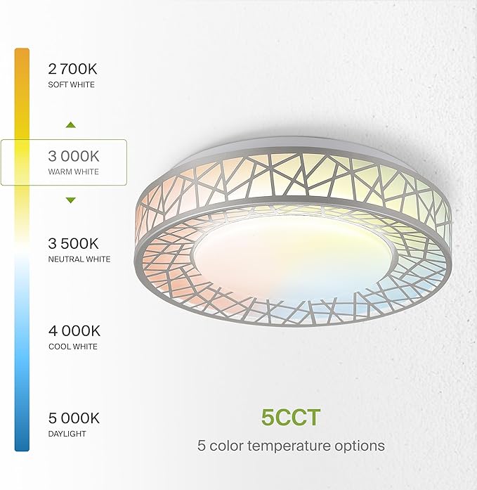 ASD 12 Inch LED Flush Mount Ceiling Light Fixture for Bedroom, 20W 1130LM 5CCT 2700K-5000K, Dimmable Lights, Dining, Living Room, Kitchen Lamps, Modern Home Lighting Fixtures, Nickel, ETL, 4 Pack