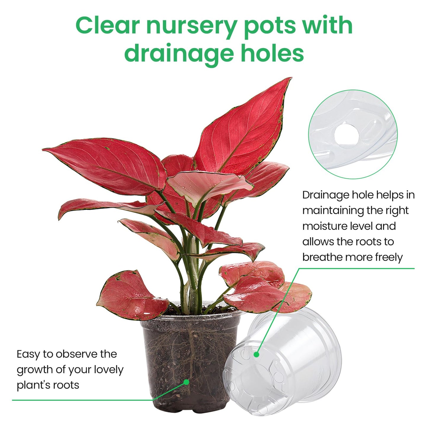 Bluepro 36 Packs 6.7/5/4/3.5 Inch Reinforced Clear Nursery Pots with Drainage Hole, Transparent Variety Pack Plastic Plant Pot Seedling Planter Seed Starter Flower
