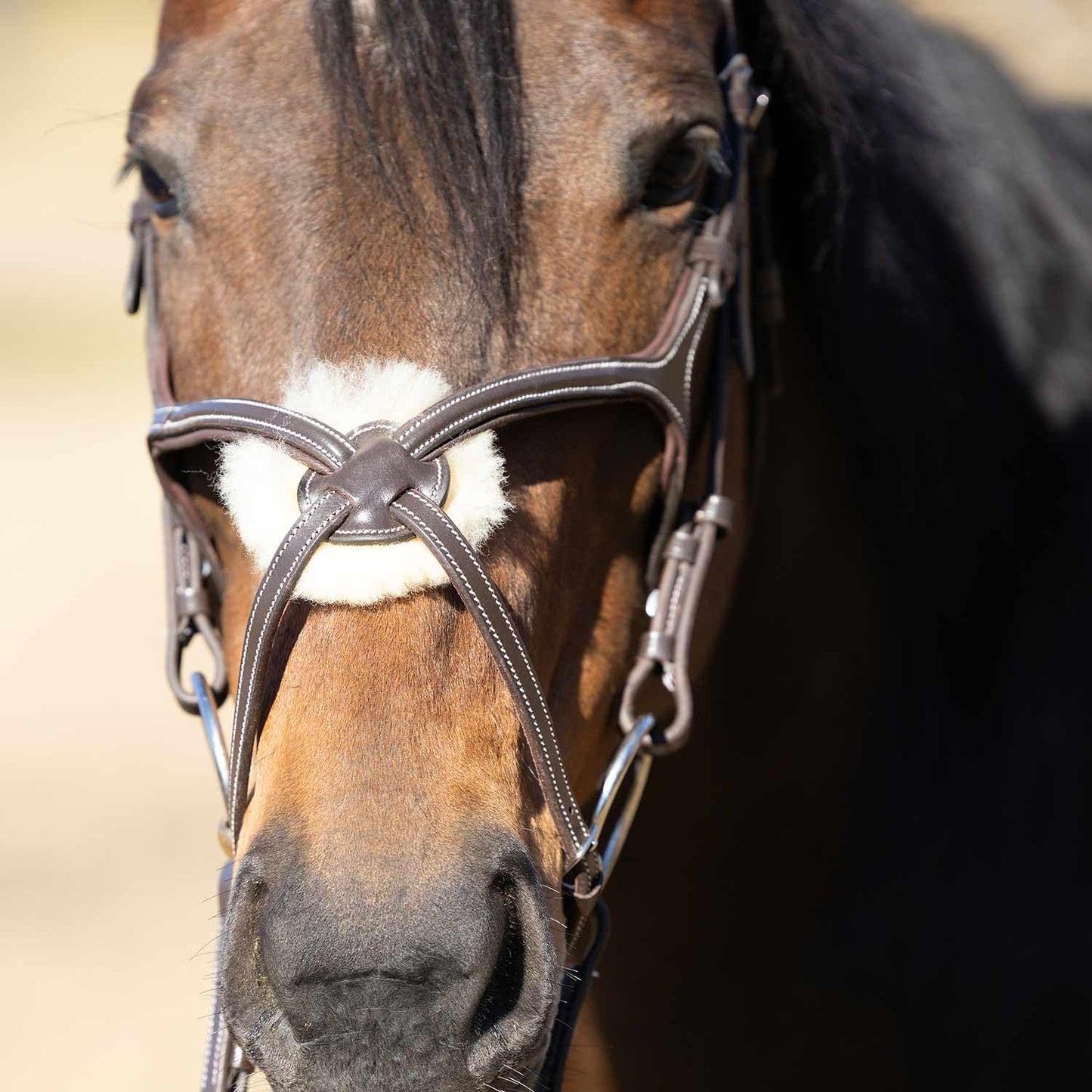 Jeffers Uniquely English Hickstead Figure-8 Leather Bridle for Horses with Web Reins, Cob - Padded Crown, Buckle Bit Ends, Sheepskin Noseband, Adjustable Throatlatch, Dressage, Jumping, Training