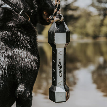 Avery Perfecthold Bumper