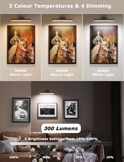 Picture Light with Remote, 16in Battery Operated Picture Lights for Wall 5000mAh, 3 Color Modes and Dimmable LED Art Lighting with Timer for Painting, Frame, Gallery (Black-1Pack)