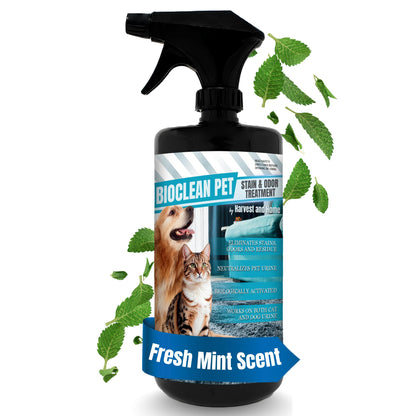 Bioclean Pet Carpet Cleaner & Deodorizer – Eliminates Pet Urine Smell, Stain & Odor Remover, No Residue, Made in USA – 32oz