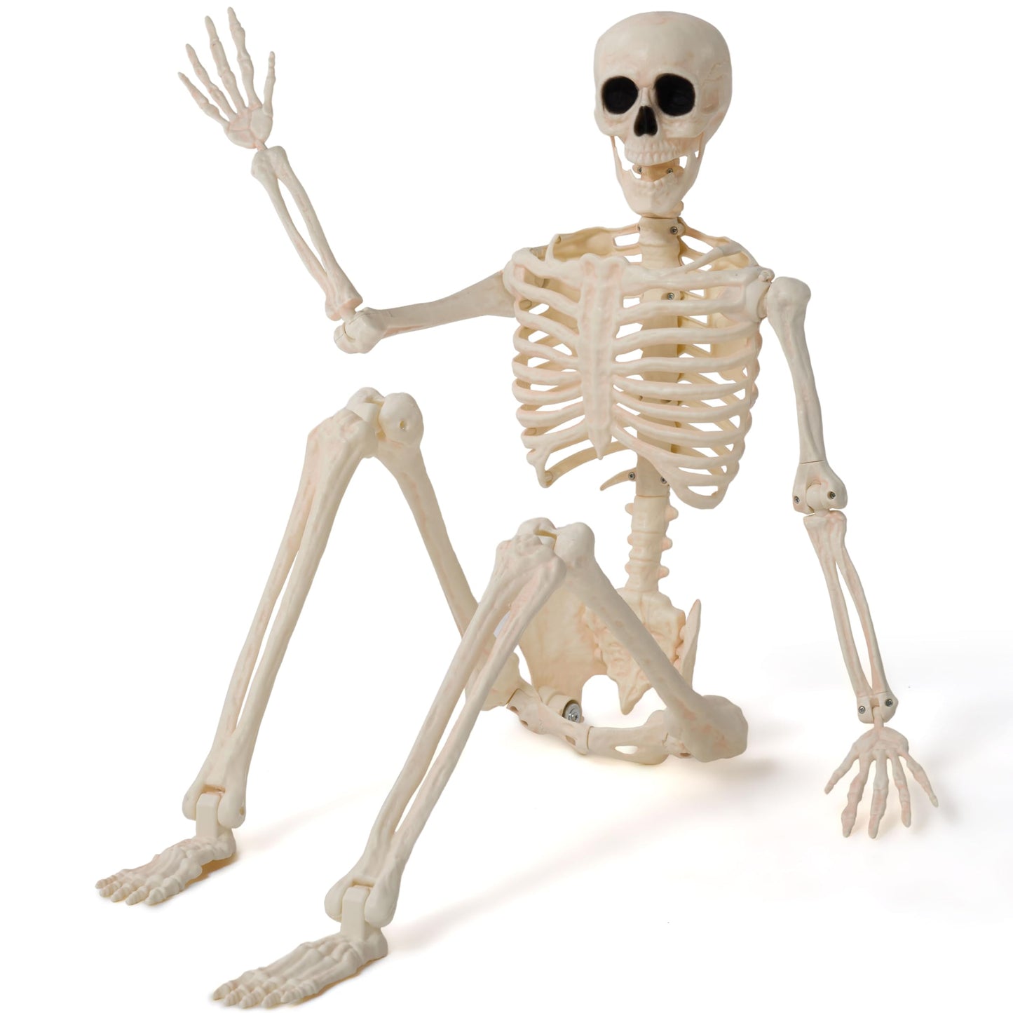JOYIN 36" Halloween Skeleton Decor, 3FT Full Body Stayable Movable Joints, Posable Hanging Skeletons for Halloween Decoration, Yard, Graveyard, Haunted House Props, Spooky Scene Party Favor