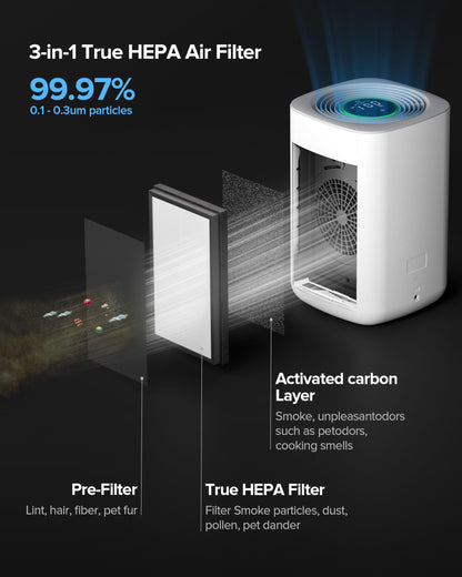 Airversa HomeKit Air Purifier over Thread Works with HomeKit (Home Hub Required) 3-Stage H13 True HEPA Smart Air Cleaner 1000 sq.ft Purelle AP2