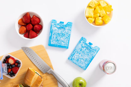 Igloo Maxcold Ice Block,4 Pieces