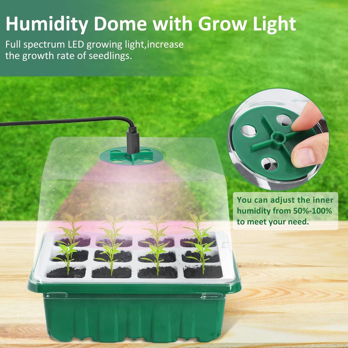 Rarello 5 Packs Seed Starter Tray with Grow Light, Reusable Pop-Out Seed Starter Kit, 60 Cells With Humidity Domes, Indoor Gardening Plant Germination Trays for Seeds