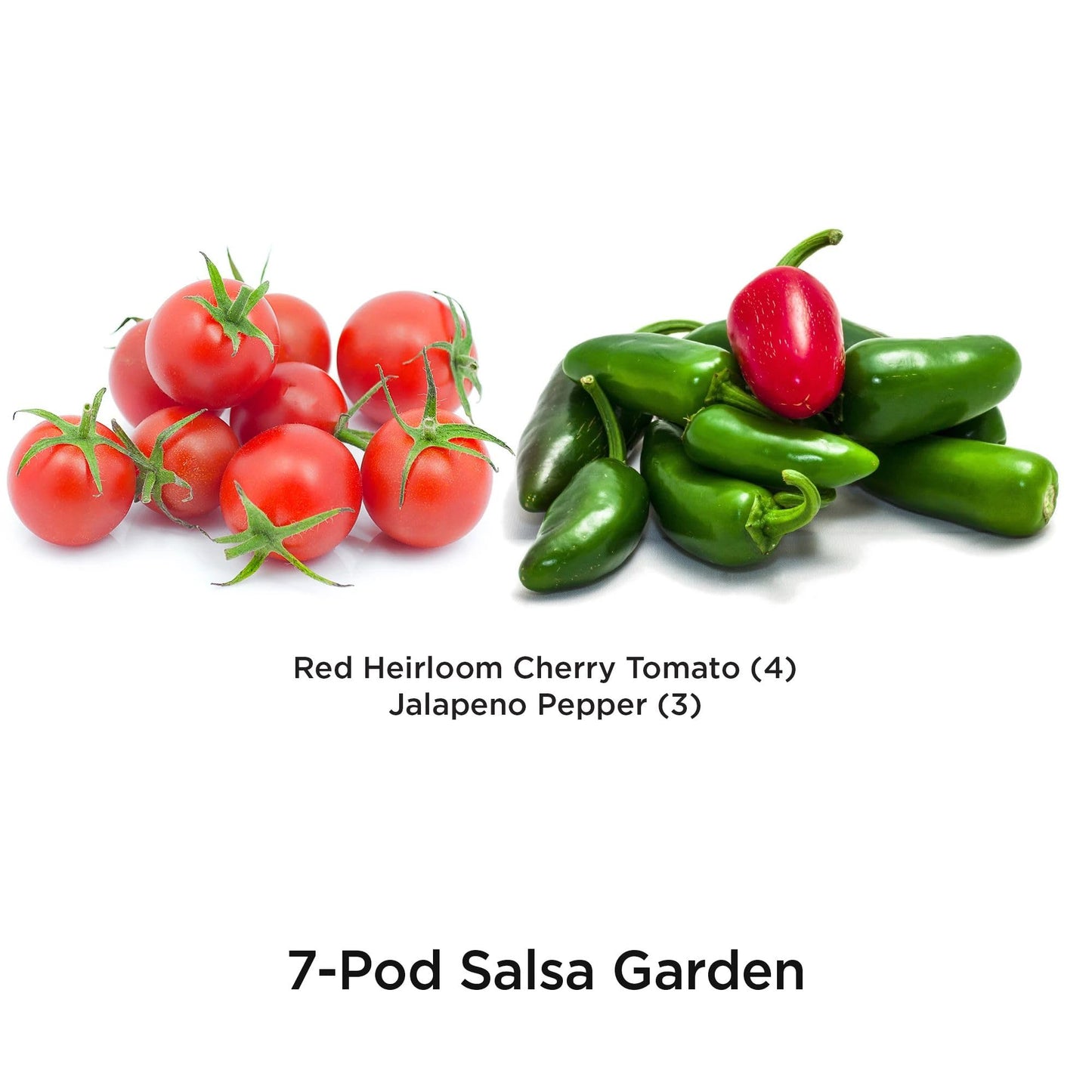 AeroGarden Salsa Garden Seed Pod Kit